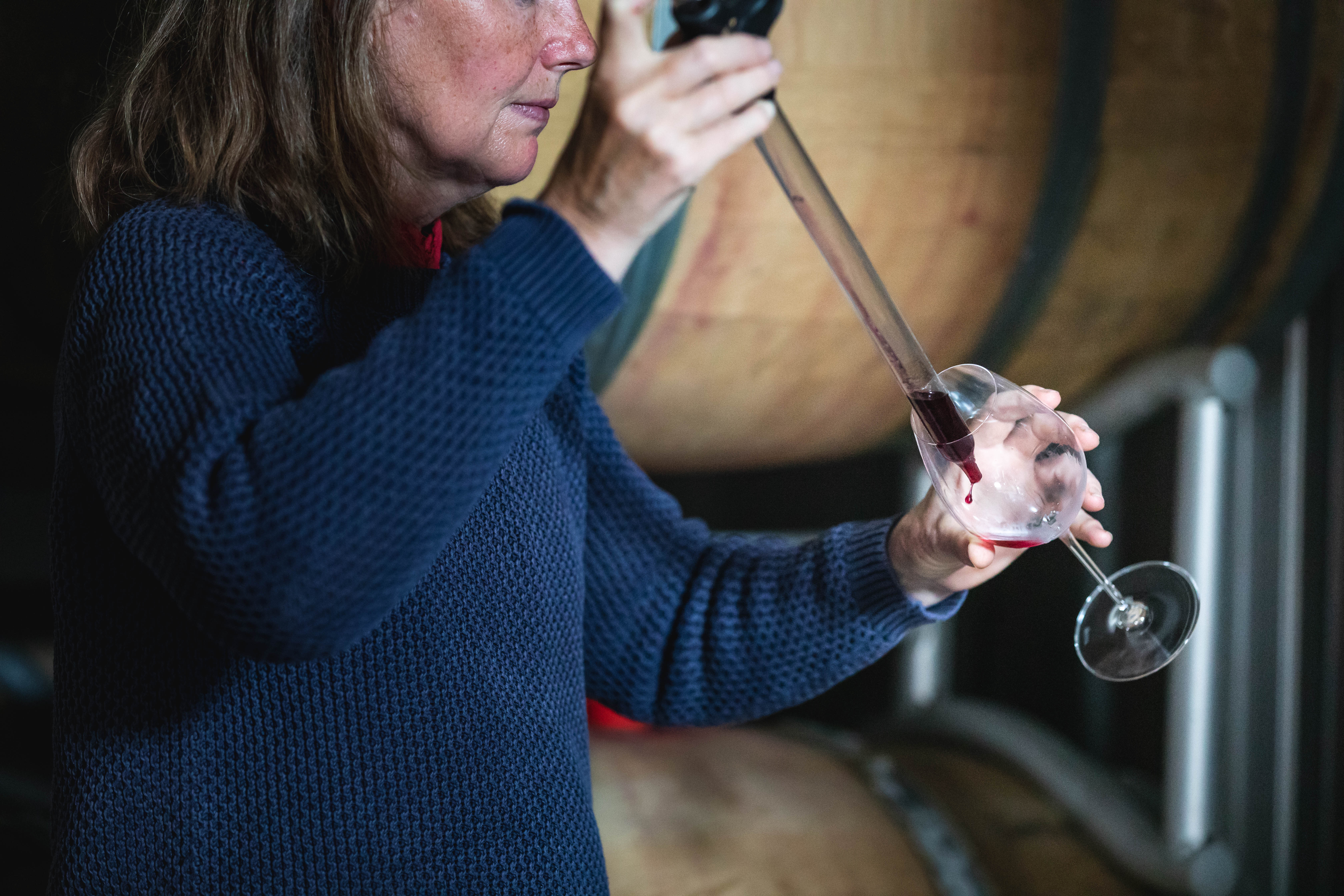 Oxney_Organic_Estate_Wine_Cellar